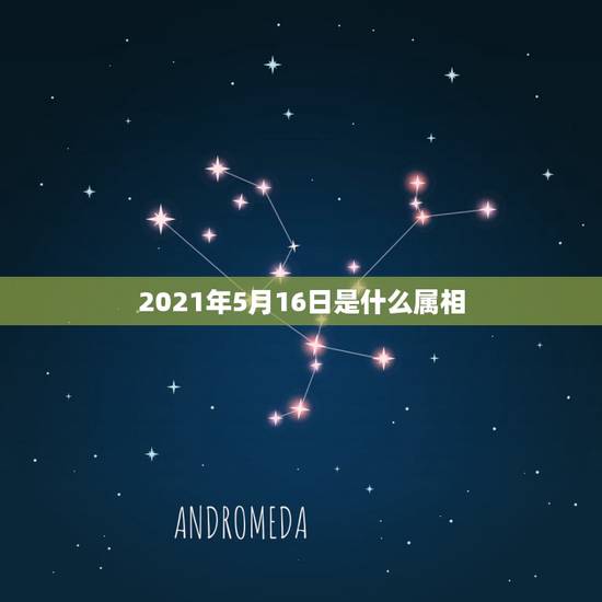 2021年5月16日是什么属相,今年什么属相犯太岁2021 2021年5月16日是什么属相,今年什么属相犯太岁2021