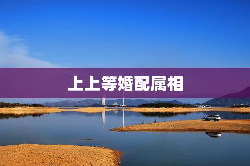 上上等婚配属相，属相是鸡与什么属相是上等婚