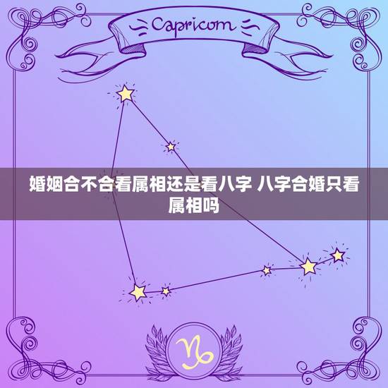 婚姻合不合看属相还是看八字 八字合婚只看属相吗