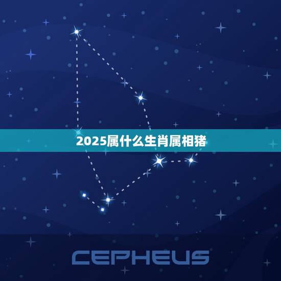 2025属什么生肖属相猪，属相年份