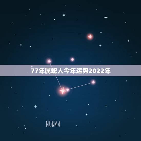 77年属蛇人今年运势2022年,属兔人2022 年运势运程每月运程 77年属蛇人今年运势2022年,属兔人2022 年运势运程每月运程