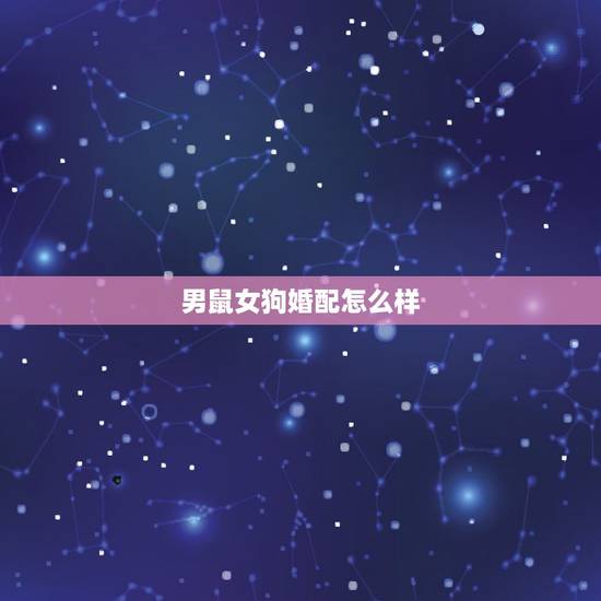 男鼠女狗婚配怎么样,男鼠女狗可以婚配吗 男鼠女狗婚配怎么样,男鼠女狗可以婚配吗