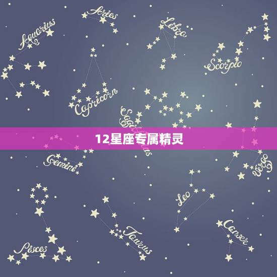 12星座专属精灵，十二星座守护花精灵王。