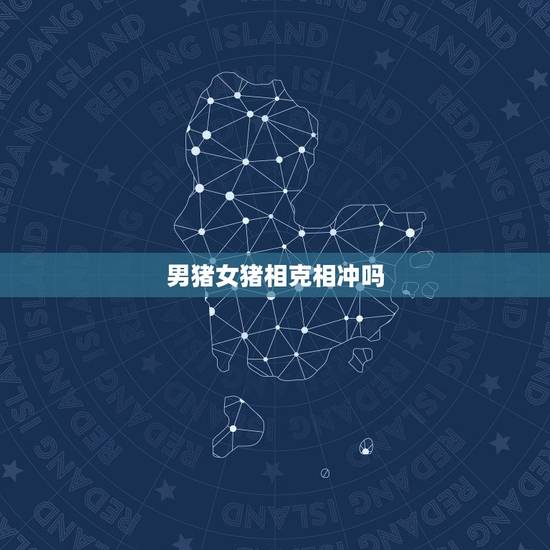 男猪女猪相克相冲吗，属猪2022 年烂桃花