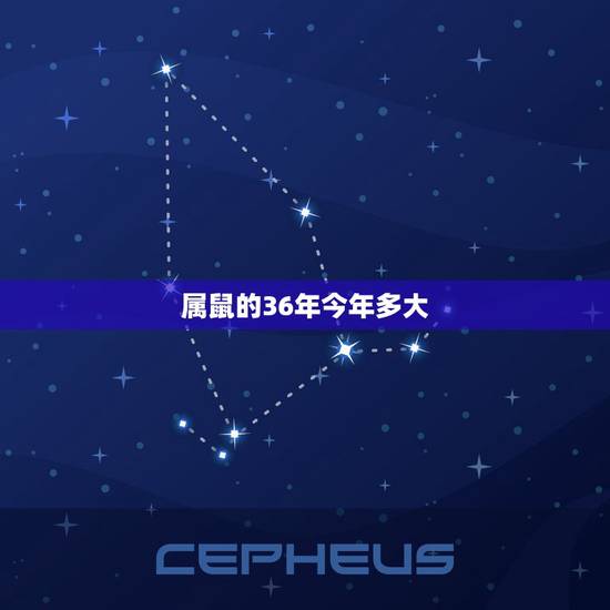 属鼠的36年今年多大,属鼠的36岁那一年出生 属鼠的36年今年多大,属鼠的36岁那一年出生