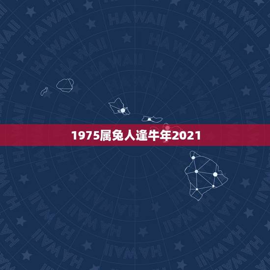 1975属兔人逢牛年2021,1975年属兔的人2021年运势怎样?男 1975属兔人逢牛年2021,1975年属兔的人2021年运势怎样?男
