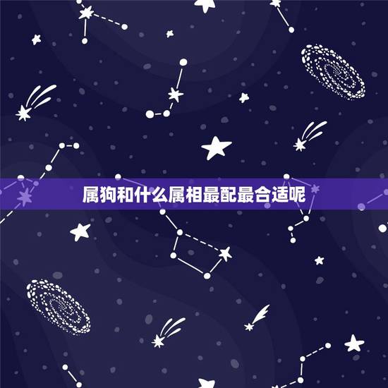 属狗和什么属相最配最合适呢,属鼠女和什么属相最配 属狗和什么属相最配最合适呢,属鼠女和什么属相最配