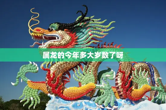属龙的今年多大岁数了呀(如何算出你的龙年生肖年龄) 属龙的今年多大岁数了呀(如何算出你的龙年生肖年龄)