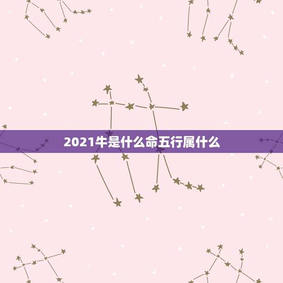 2021牛是什么命五行属什么，2021五行属什么年
