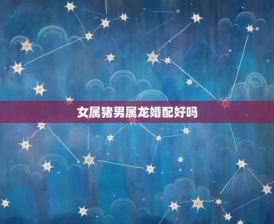 女属猪男属龙婚配好吗，女属猪和男属龙的婚姻怎么样