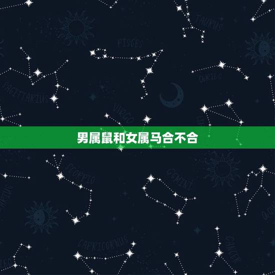 男属鼠和女属马合不合，男属鼠女属马能婚配吗？