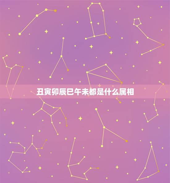 丑寅卯辰巳午未都是什么属相，子丑寅卯辰巳午未申酉戌亥哪些是阴