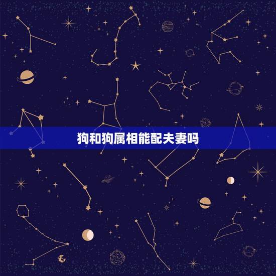 狗和狗属相能配夫妻吗 狗和狗在一起幸福吗 狗和狗属相能配夫妻吗 狗和狗在一起幸福吗