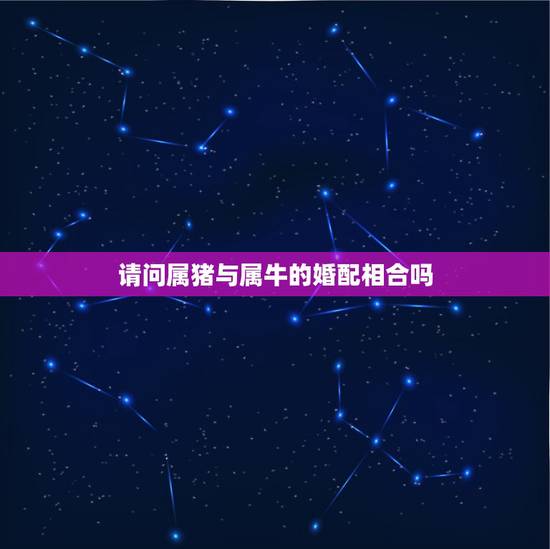 请问属猪与属牛的婚配相合吗,属猪和属牛合不合 请问属猪与属牛的婚配相合吗,属猪和属牛合不合