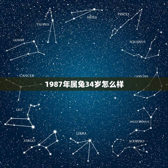 1987年属兔34岁怎么样,1987年属兔是什么命 1987年属兔34岁怎么样,1987年属兔是什么命