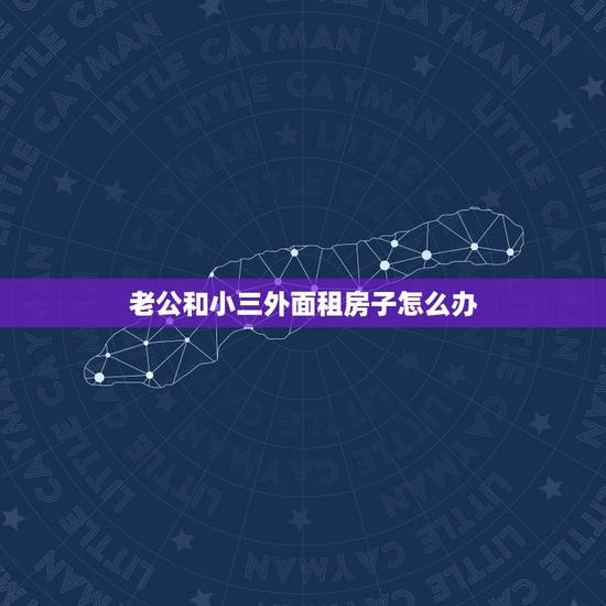 老公和小三外面租房子怎么办，老公带小三在外租房子，我要用什么方法去捉奸