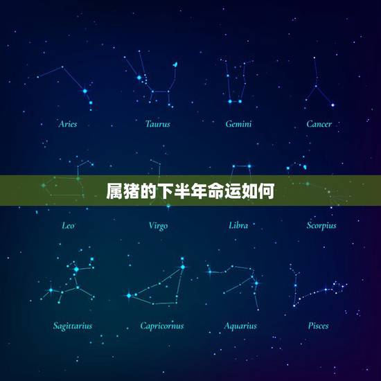 属猪的下半年命运如何,2015年属猪的每月运势,全年运程,属猪的201 属猪的下半年命运如何,2015年属猪的每月运势,全年运程,属猪的201
