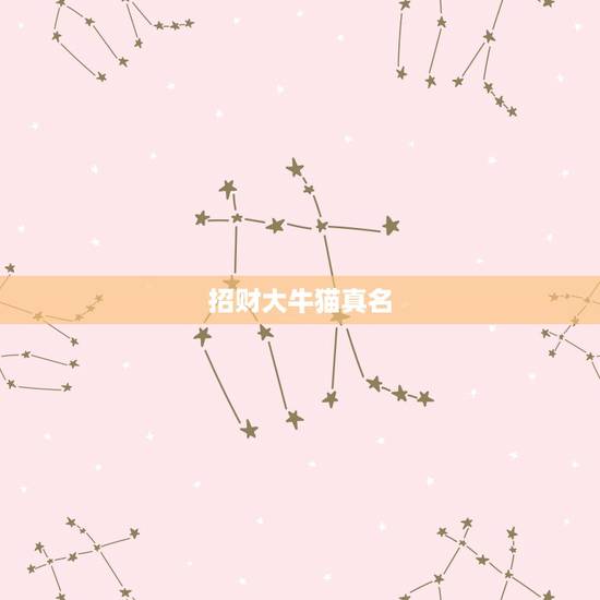 招财大牛猫真名，财经千万大号“招财大牛猫”停更，这名博主究竟怎么了？