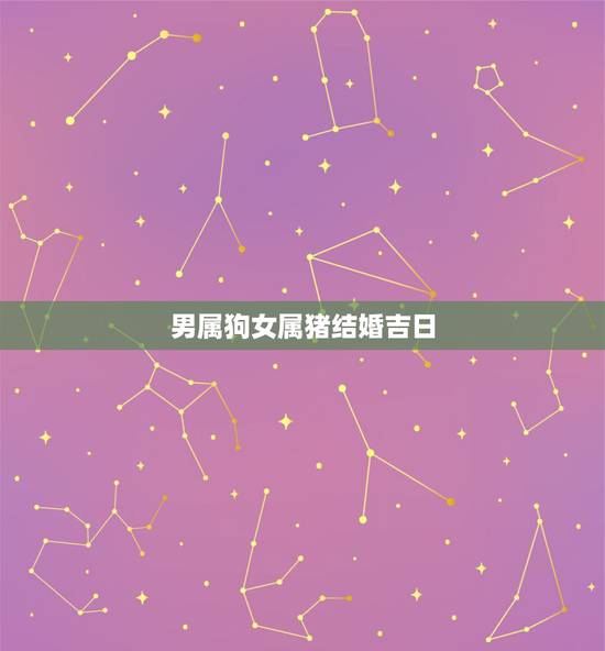 男属狗女属猪结婚吉日,2022年狗和猪哪个月结婚好 男属狗女属猪结婚吉日,2022年狗和猪哪个月结婚好