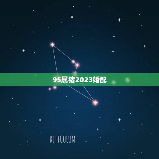 95属猪2023婚配，95年属猪哪年遇到另一半