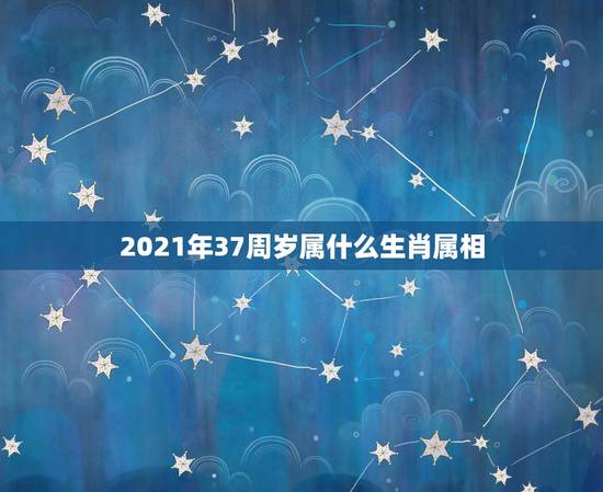 2021年37周岁属什么生肖属相,今年属相2021属相 2021年37周岁属什么生肖属相,今年属相2021属相