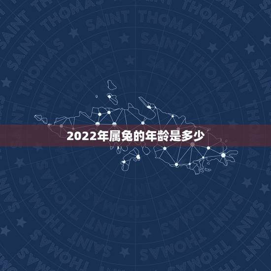 2022年属兔的年龄是多少，1999年2022年多大