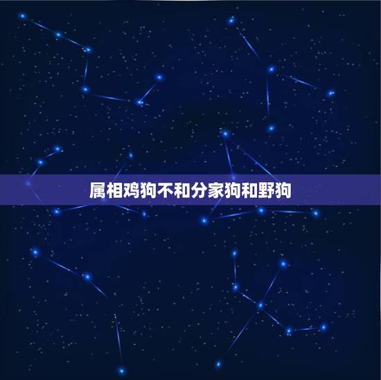 属相鸡狗不和分家狗和野狗，为什么生肖鸡和狗相克
