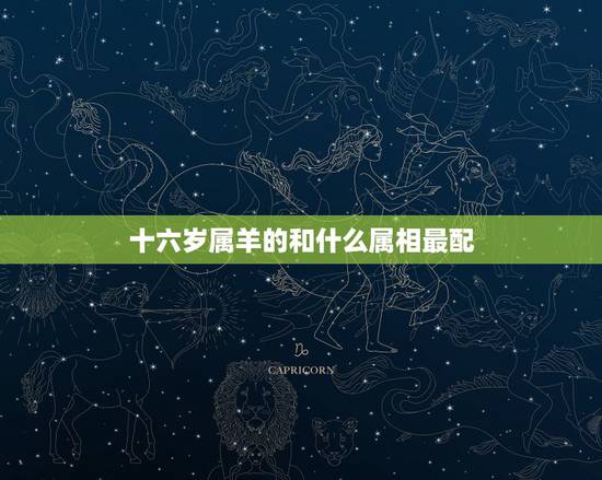 十六岁属羊的和什么属相最配,属羊的和什么属相最配 十六岁属羊的和什么属相最配,属羊的和什么属相最配