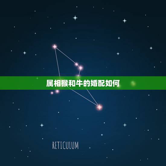 属相猴和牛的婚配如何，属猴和属牛的相配吗？