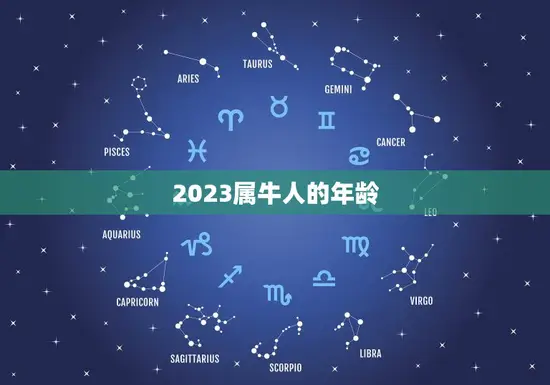 2023属牛人的年龄