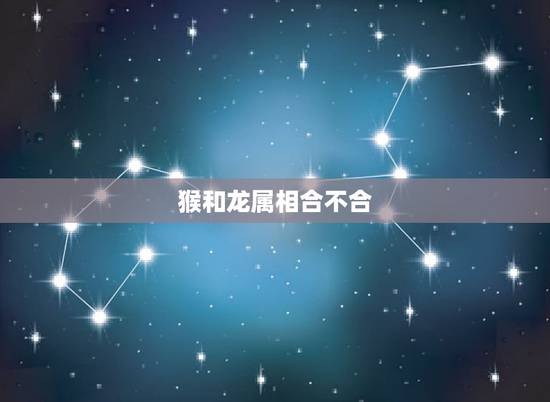 猴和龙属相合不合，十二属相猴和龙配吗？