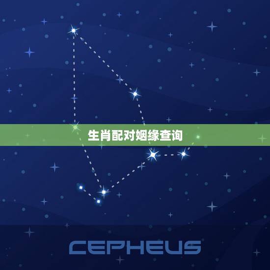 生肖配对姻缘查询，12生肖配对姻缘？
