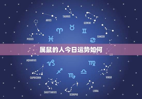 属鼠的人今日运势如何，1984属鼠的贵人和小人