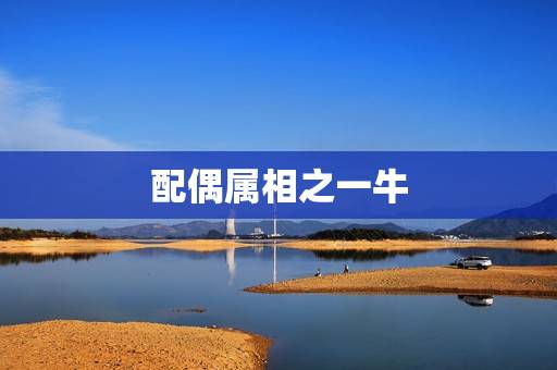 配偶属相之一牛 配偶属相之一牛
