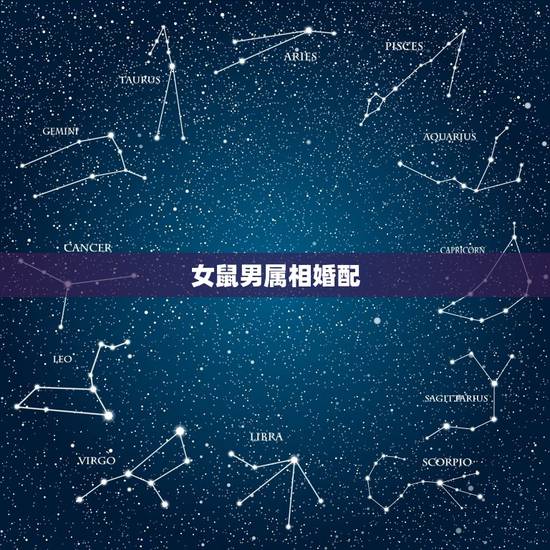 女鼠男属相婚配,属相婚配鼠与鼠 女鼠男属相婚配,属相婚配鼠与鼠