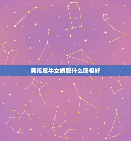 男孩属牛女婚配什么属相好,属牛女配什么属相最好 男孩属牛女婚配什么属相好,属牛女配什么属相最好