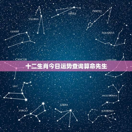 十二生肖今日运势查询算命先生，腾讯星座今日运势大全