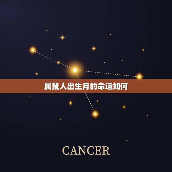 属鼠人出生月的命运如何，属鼠人出生时辰的命运