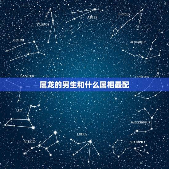 属龙的男生和什么属相最配，属龙的摩羯座男生和处女座属什么的最配