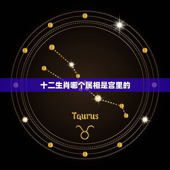 十二生肖哪个属相是宫里的，十二生肖哪些属相是皇宫里
