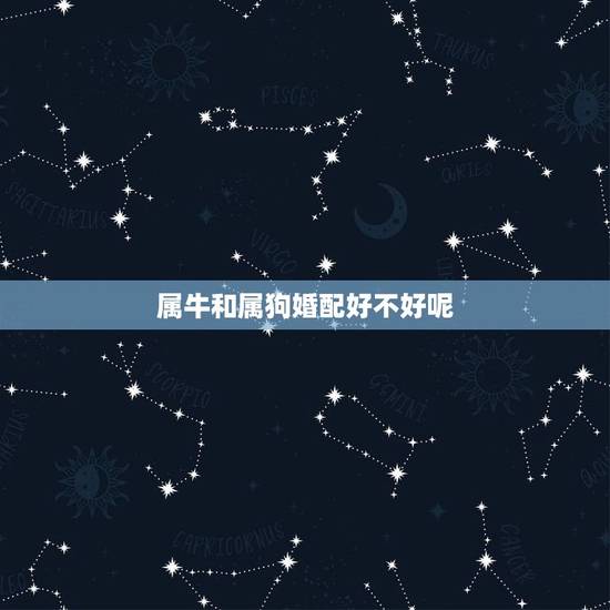 属牛和属狗婚配好不好呢,男属狗女属牛婚配好吗 属牛和属狗婚配好不好呢,男属狗女属牛婚配好吗