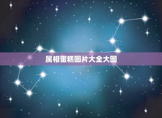 属相蛋糕图片大全大图,谁有生肖鼠的蛋糕图片? 属相蛋糕图片大全大图,谁有生肖鼠的蛋糕图片?