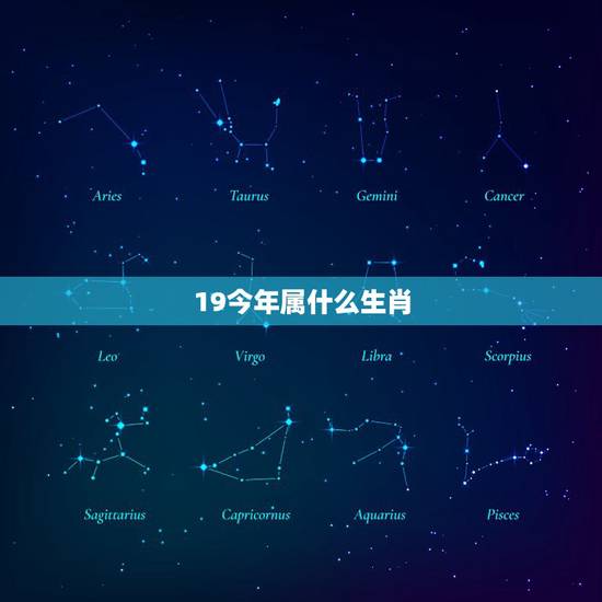 19今年属什么生肖,2022 年19岁属什么生肖 19今年属什么生肖,2022 年19岁属什么生肖