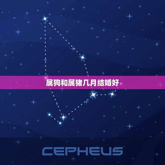 属狗和属猪几月结婚好,1994年属狗哪年结婚好 属狗和属猪几月结婚好,1994年属狗哪年结婚好