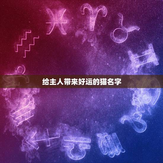给主人带来好运的猫名字，给猫起什么名字好？