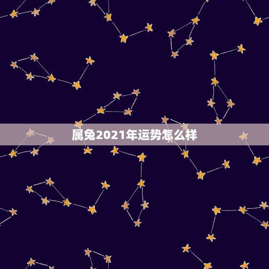 属兔2021年运势怎么样,2021年兔子的运势如何 属兔2021年运势怎么样,2021年兔子的运势如何