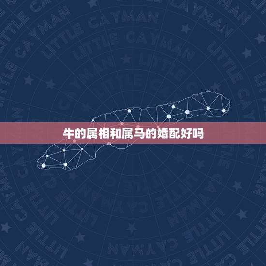 牛的属相和属马的婚配好吗,属牛和属马适合做夫妻吗,属相婚配牛配马合不合 牛的属相和属马的婚配好吗,属牛和属马适合做夫妻吗,属相婚配牛配马合不合