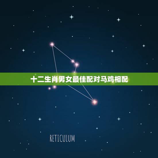 十二生肖男女最佳配对马鸡相配，马和鸡属相能结婚吗？