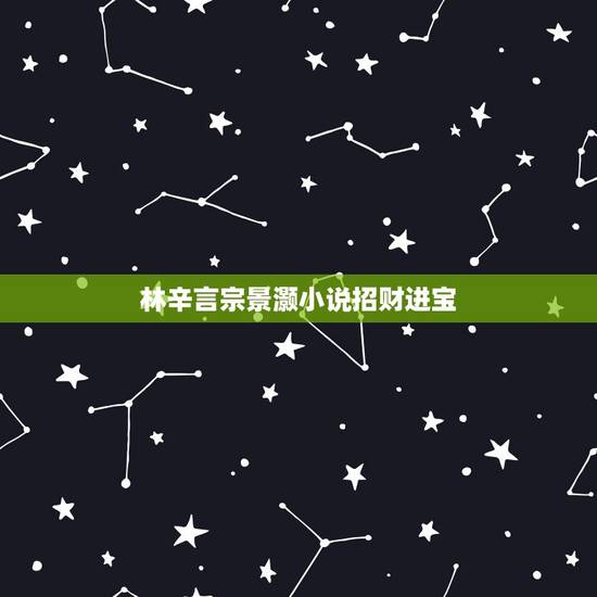 林辛言宗景灏小说招财进宝，林辛言宗景灏（夺爱帝少请放手）全文免费阅读百