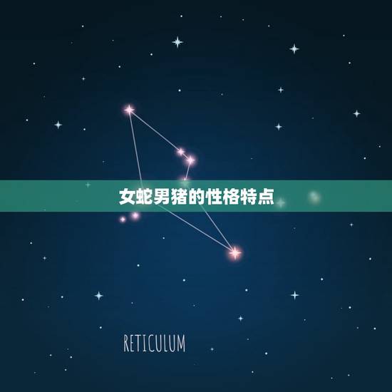 女蛇男猪的性格特点 女蛇男猪的性格特点